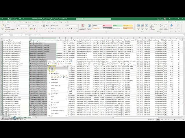 Removing Duplicates in Excel Data