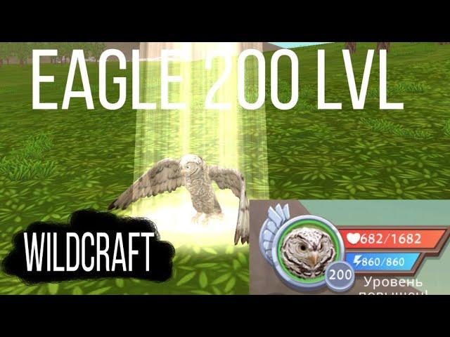 WildCraft / Прокачка орла до 200 уровня / Eagle leveling up to level 200