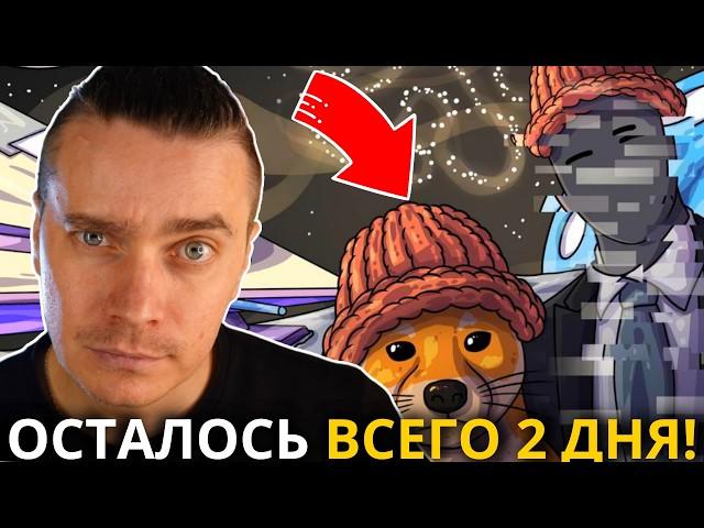 ️ PAWS 🟢 СРОЧНО! 🟢 ОСТАЛОСЬ ВСЕГО 2 ДНЯ ДО СНИМКА! УСПЕЙ ЭТО СДЕЛАТЬ ДО 30 ДЕКАБРЯ ИНАЧЕ ПОТЕРЯЕШЬ!