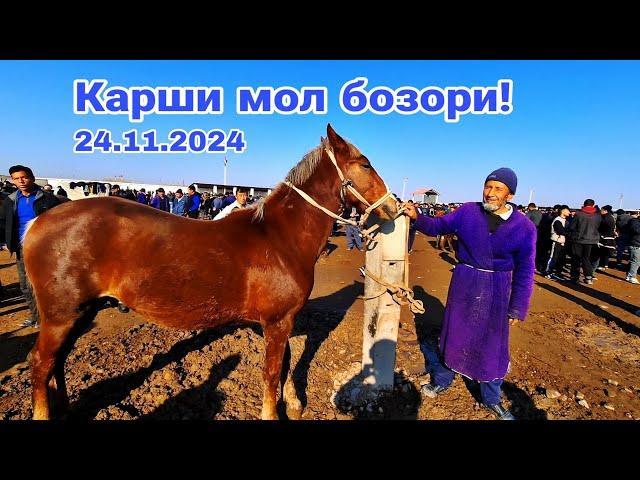 Карши Карвон мол бозори нархлари 24.11.2024