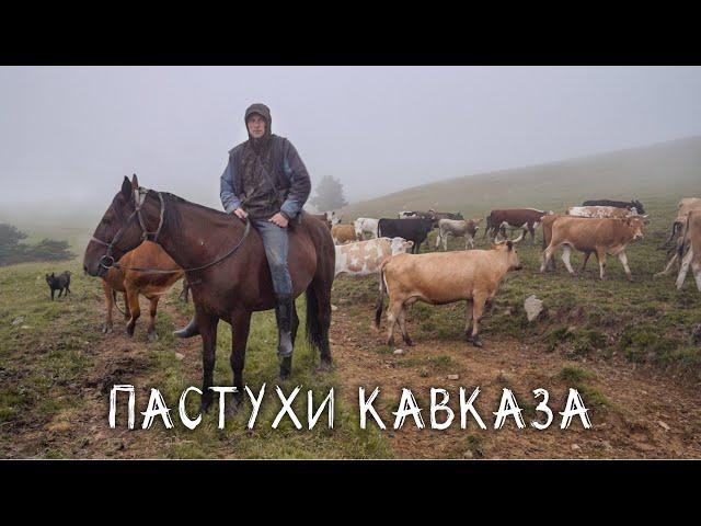 Shepherds in the Caucasus Mountains. We went to the backwoods.