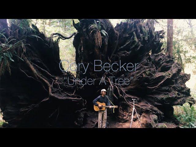 Cory Becker "Under a Tree" | Music with Mic
