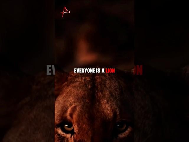 EVERYONE IS A LION  | Add Attitude