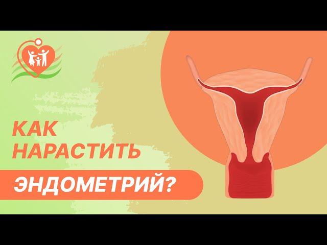   Тонкий эндометрий. Как нарастить эндометрий?