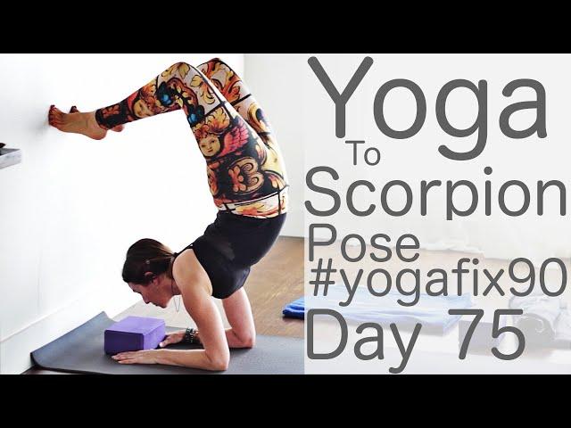 30 Minute Yoga Flow Vinyasa (to Scorpion pose) Day 75 Yoga Fix 90 | Fightmaster Yoga Videos