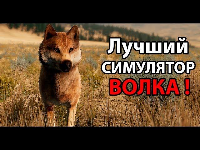 Лучший в мире симулятор ВОЛКА !