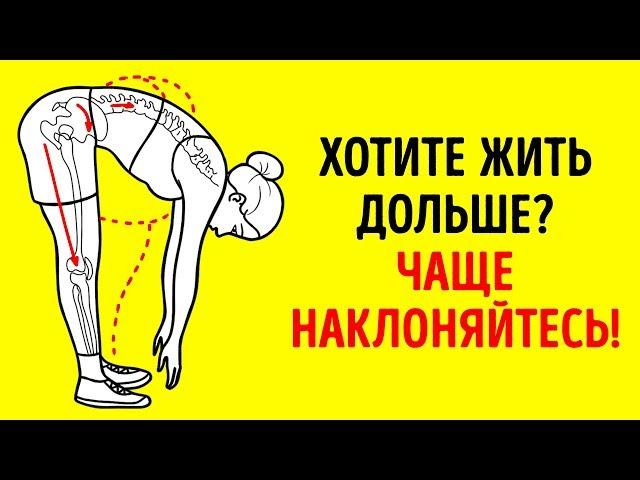 Ученые Раскрыли Упражнения, Которые Помогут Жить Дольше