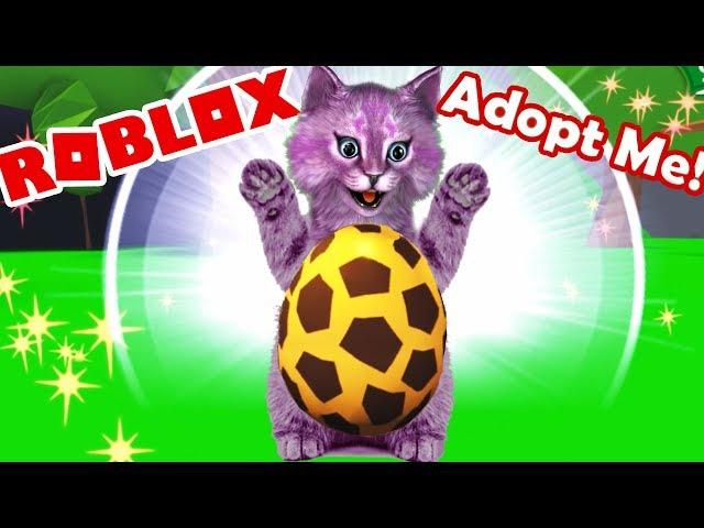 КТО ВЫЛУПИТСЯ ИЗ САФАРИ-ЯЙЦА? НОВЫЕ ПИТОМЦЫ В УДОЧЕРИ МЕНЯ В РОБЛОКС roblox adopt me