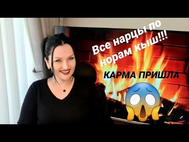 ВСЁ О НАРЦИССАХ #нарциссы #психологияотношений #психология