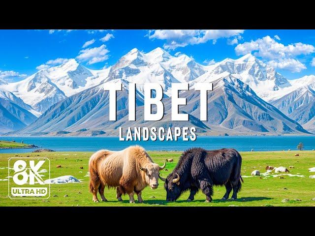 Tibet 8K UHD - Journey To Discover The Roof Of The World: Land Of Buddha