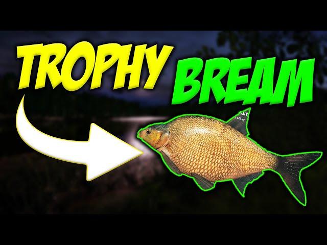 Russian Fishing 4 - BIG TROPHY BREAM SPOT ON MOSQUITO LAKE (BEST BAIT & SPOT)