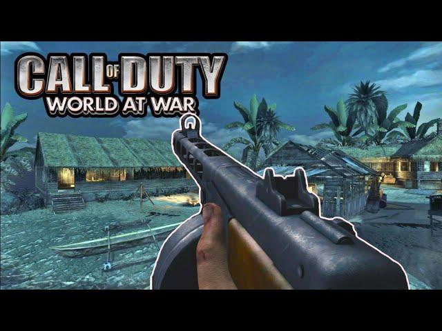 Blessing my PPSH - World At War 2024 (COD WAW)