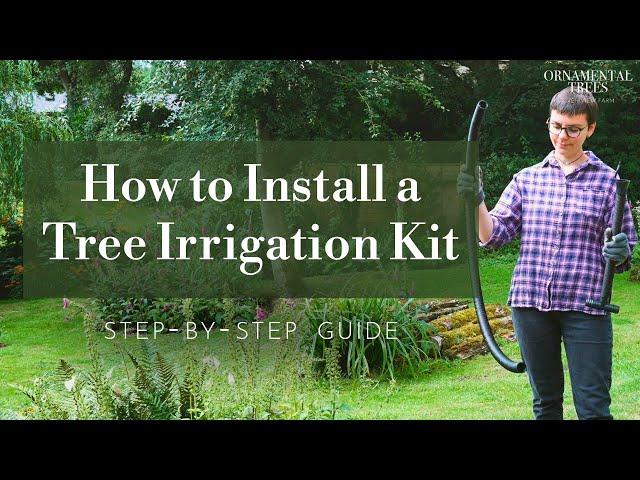 How to Easily Install a Tree Irrigation Kit (Step-by-Step Guide) | Tree 101