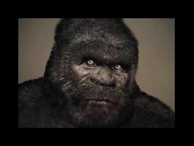 The Most Compelling Bigfoot Footage