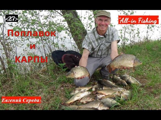 Поплавок и карпы. "All-in Fishing". Вып. 27.