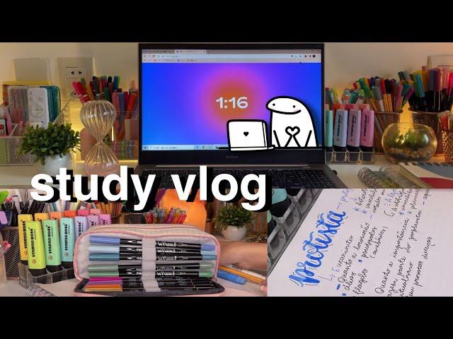 STUDY VLOG Como eu estudo fazendo resumos | estilo filminho narrado