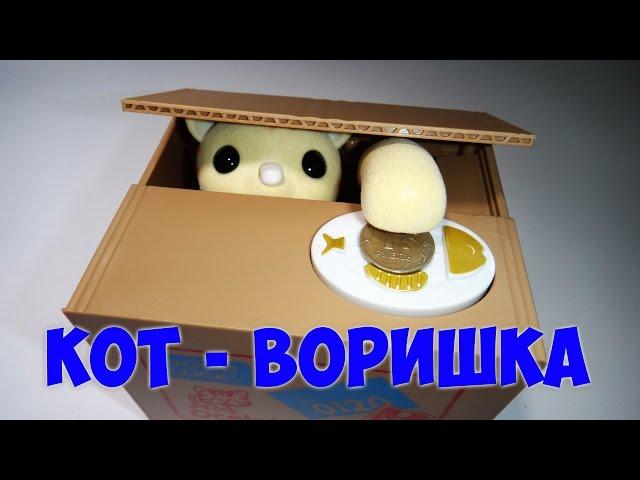 Кот воришка кот копилка. Кто ворует деньги?