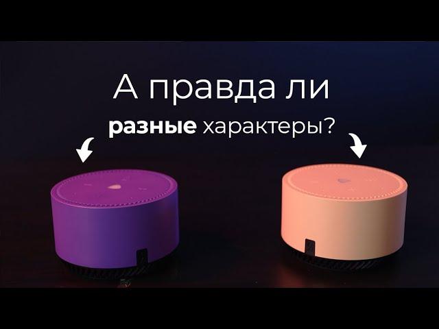 Характер у Яндекс Станции Лайт - Есть или Нет?