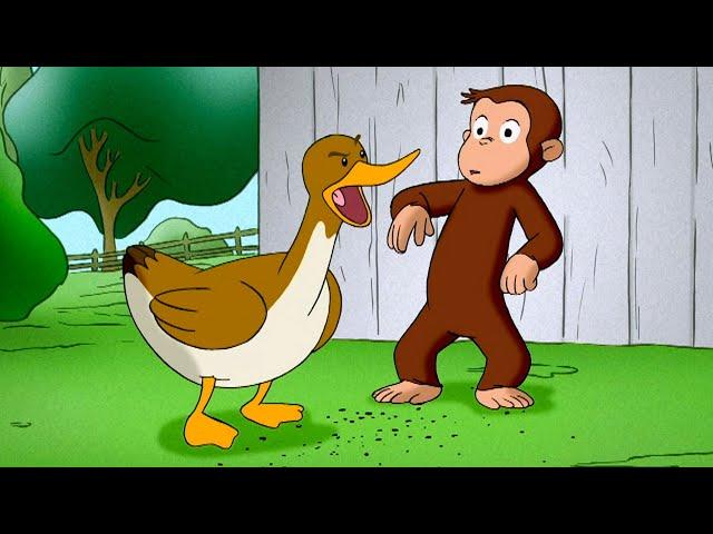 George and the Ducklings  Curious George  Animal Friends