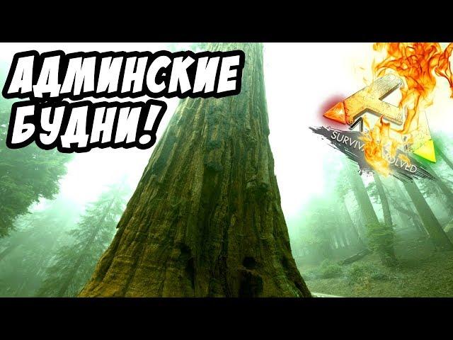 ARK: Survival Evolved - ВЕЛИКИЕ АДМИНСКИЕ БУДНИ ПОСЛЕ ВАЙПА!