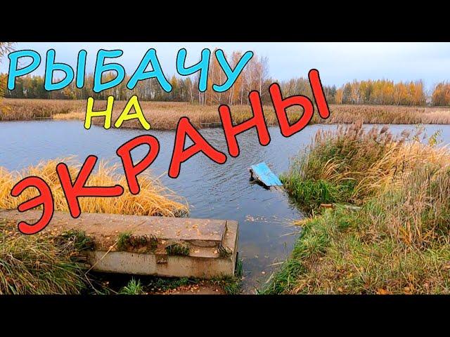 Поиск рыбы осенью. Рыбалка на экраны-телевизоры.