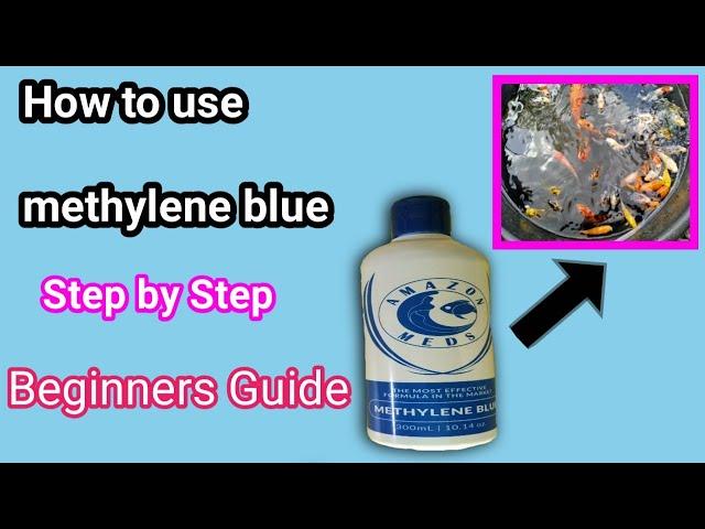 HOW TO USE METHYLENE BLUE FOR FISH TREATMENT (RPL Aquatics)