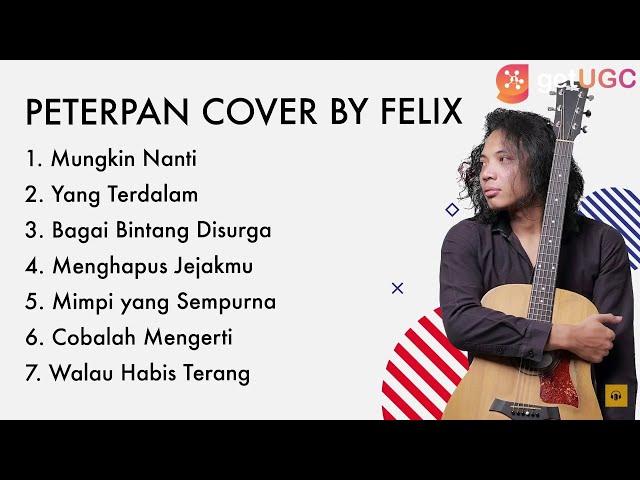 " MUNGKIN NANTI - PETERPAN " COVER BY FELIX IRWAN 2021