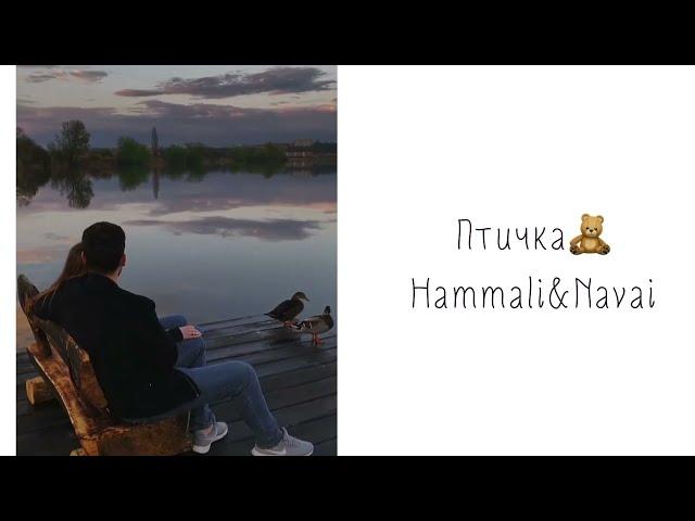 Птичка - Hammali & Navai | Текст песни