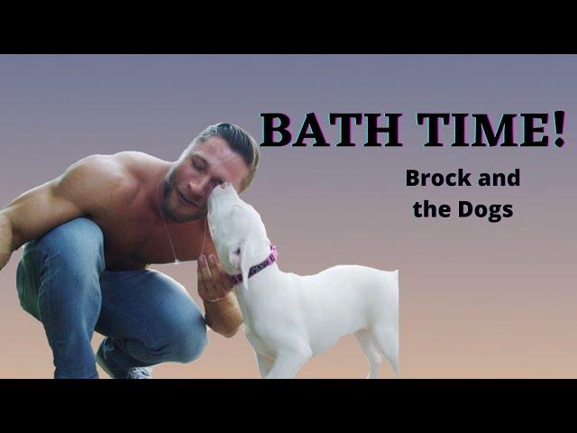 BATH TIME! Brock and the Dogs - Ep 8