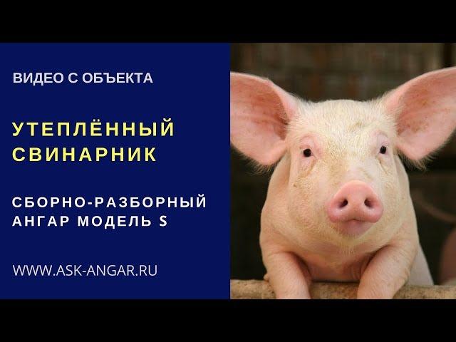 Сборно разборный теплый свинарник производства АСК Ангар. Модель S.