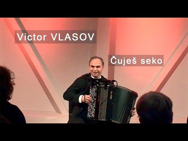 Vlasov: Cujes seko / Чујеш секо * Виктор Власов ACCORDION Fenyuk Хармоника Фенюк баян Accordeon