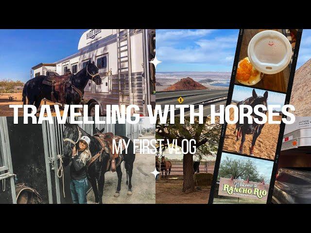 TRAVELLING WITH HORSES: trailering from Arizona to Canada