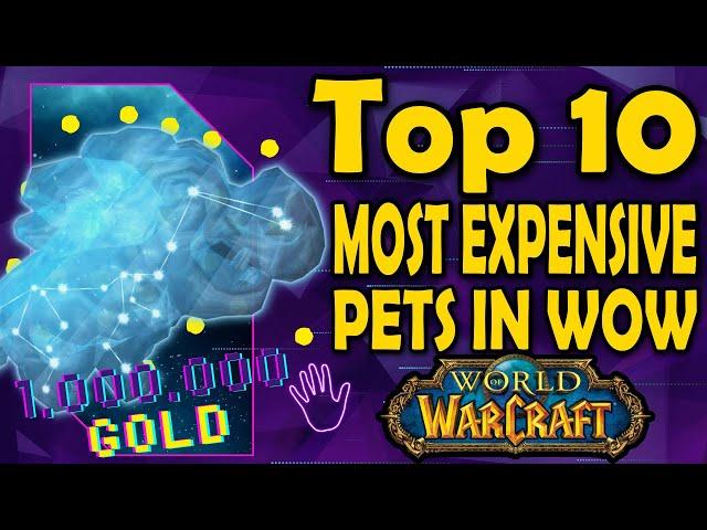 Top 10 Most Expensive Pets in WoW