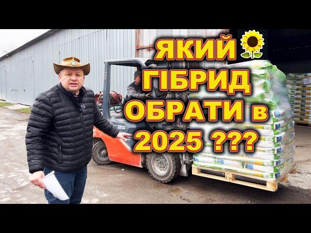 ЯК ФЕРМЕР ВИБИРАВ СОНЯШНИК ПО РЕЗУЛЬТАТУ ВРОЖАЙНОСТІ ? що замовив  Родос нсх 8005 Альдазор Таурус