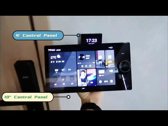 Tuya 10in split-type knob central control screen