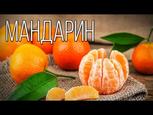 Tangerine: The Southern symbol of the New Year | Interesting facts about tangerines