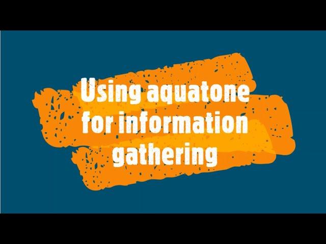 How To Use Aquatone For Information Gathering About A Target?