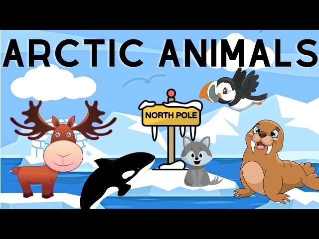 Learning Arctic Animals #learning #kidsvideo #kids