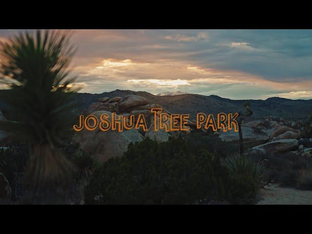 Joshua Tree | Cinematic video | Sony a7siii