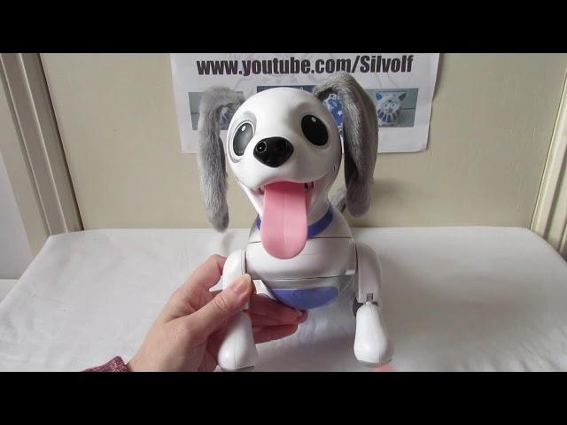 Unboxing Zoomer Playful Pup