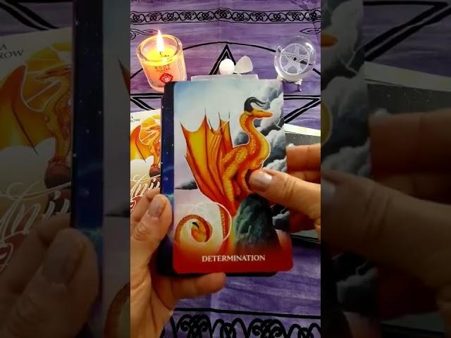 Universal Dragon Oracle (Quick Flip Through)