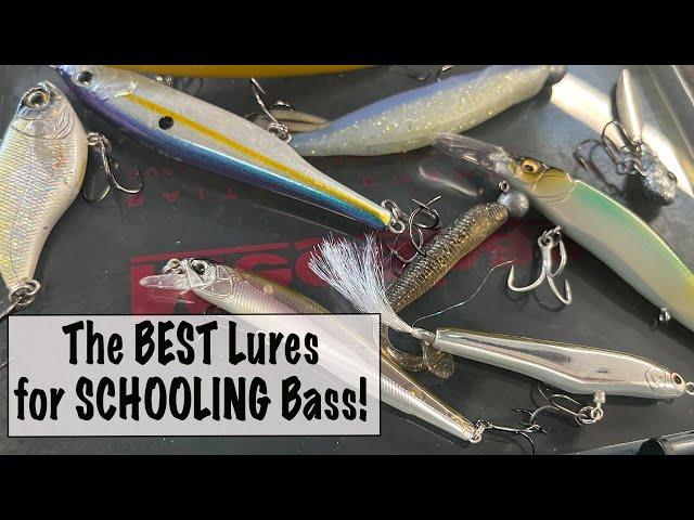 The BEST Lures for SCHOOLING Bass!