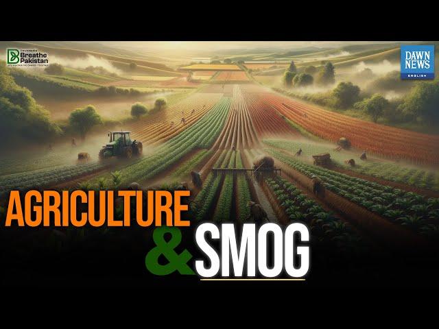 Agriculture And Smog | Is Agri the Cause or Casualty? | Dawn News English