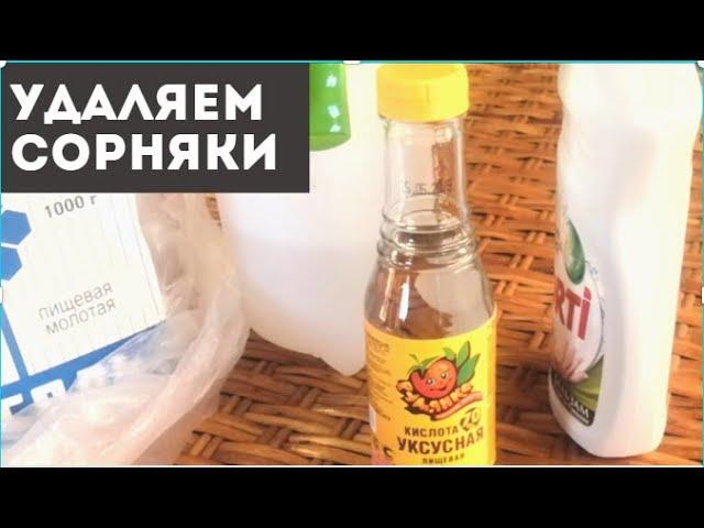 Удаляем сорняки с помощью уксуса  Remove the grass with vinegar