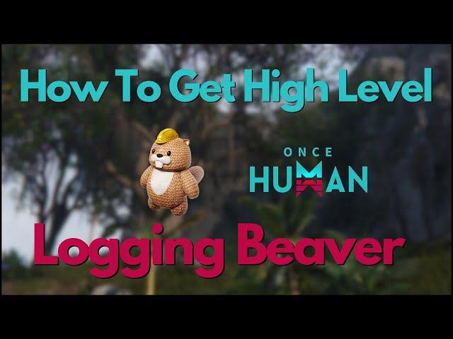 Once Human - How To Get High Level Logging Beaver