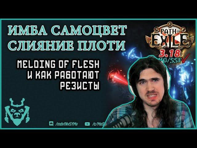 Почему Melding - имба? И как работают резисты в ПоЕ. Path of exile 3.18 Sentinel