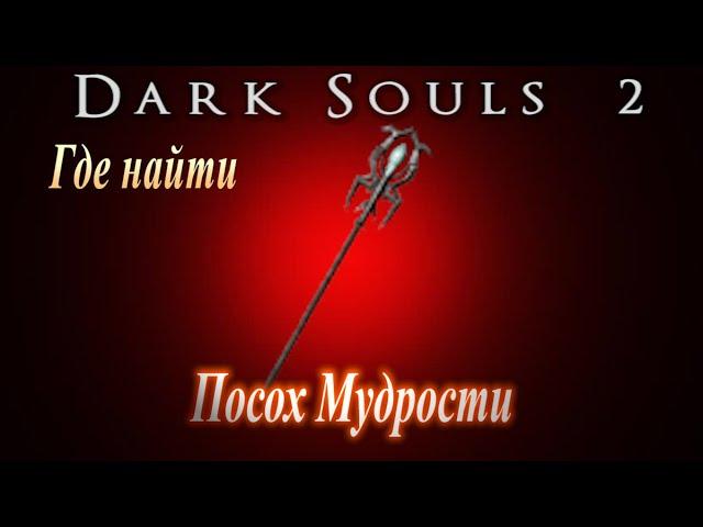 Где найти Посох Мудрости Dark Souls 2 - Дарк Соулс 2 ГАЙД Лучший Катализатор Магии