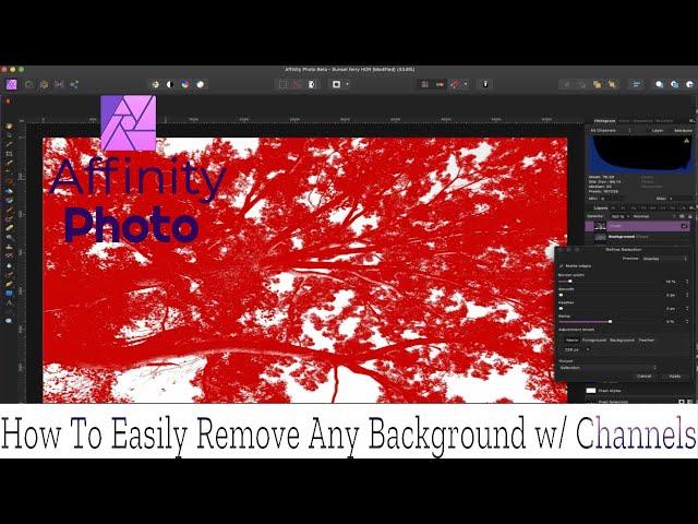 How To Easily Create The Perfect Selection And Cut Out The Most Complex Backgrounds