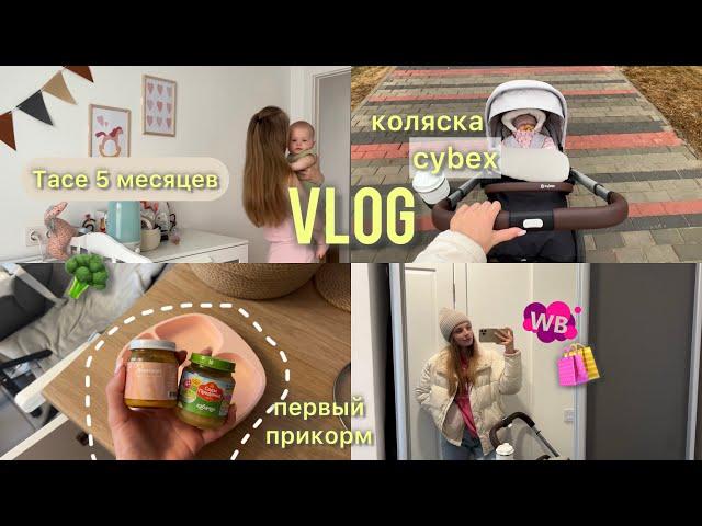 VLOG: один день с 5-ти месячным ребёнком