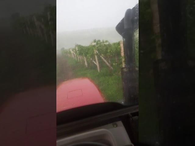 Foton 454
